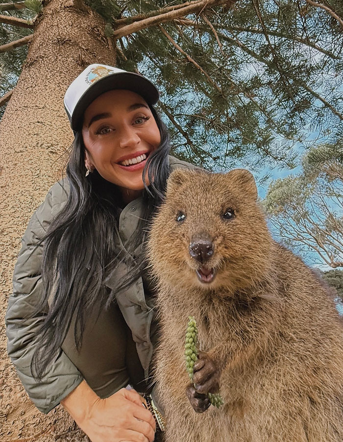 Smiling woman takes a selfie with a happy quokka holding a branch, set against a tree and clear blue sky background.