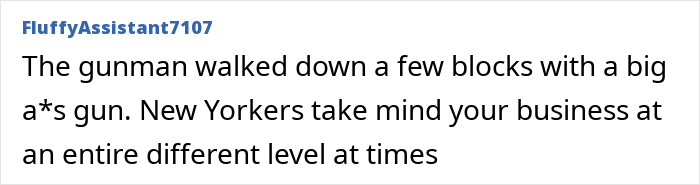 Text post by user FluffyAssistant7107 about a gunman walking with a large gun; comments on New Yorkers' nonchalance.