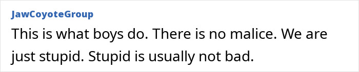Text post from JawCoyoteGroup discussing boys' behavior, emphasizing lack of malice and common stupidity without harm.