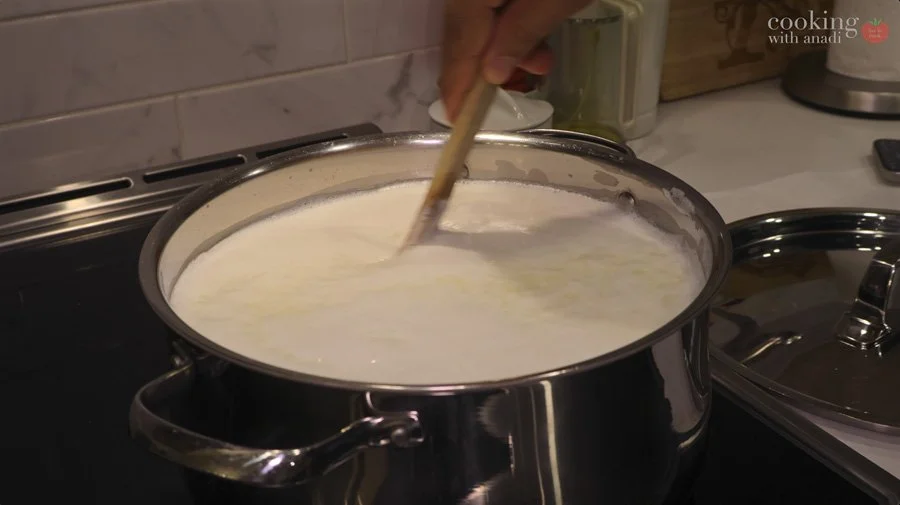 Fresh Homemade Paneer