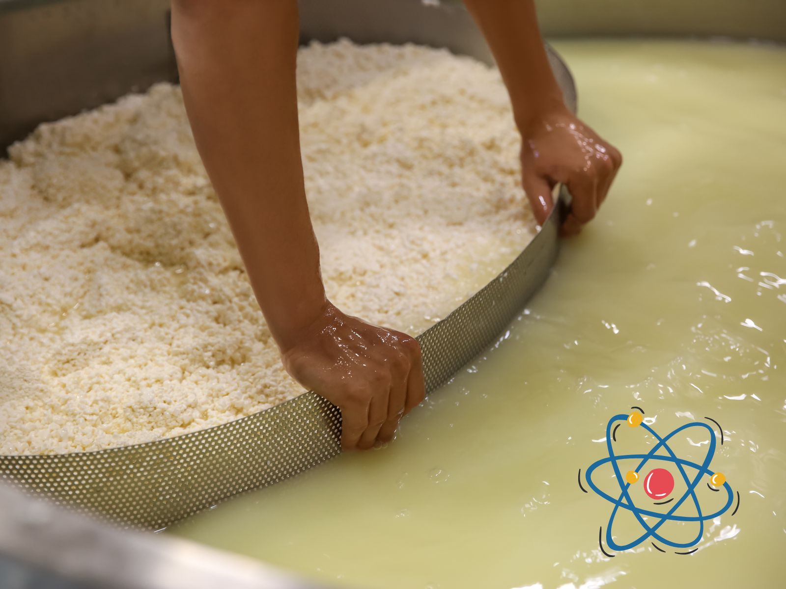 Syneresis: The Science Behind Whey Separation In Cheesemaking