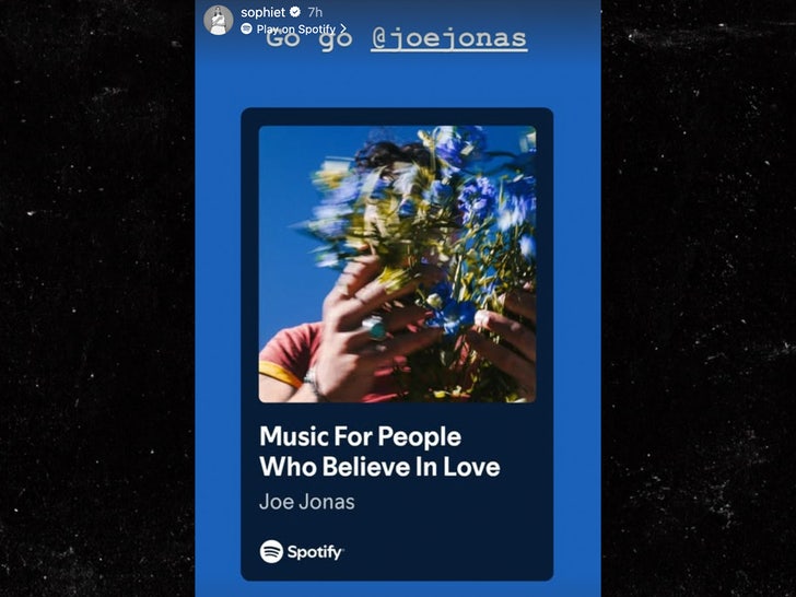 sophie turner joe jonas song instagram sub