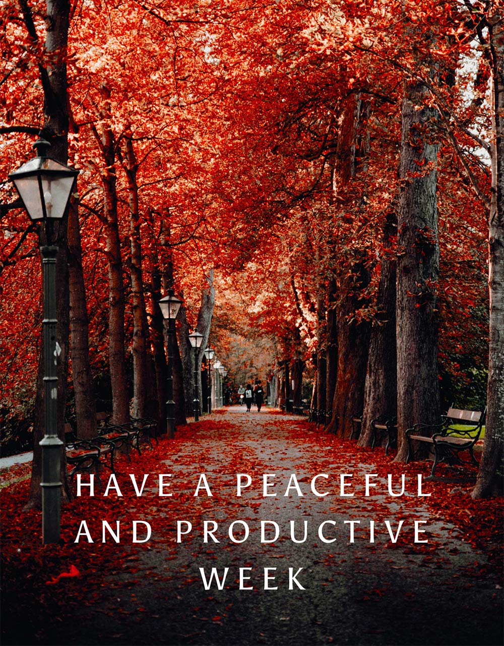 Monday Poll Fall Peaceful Week