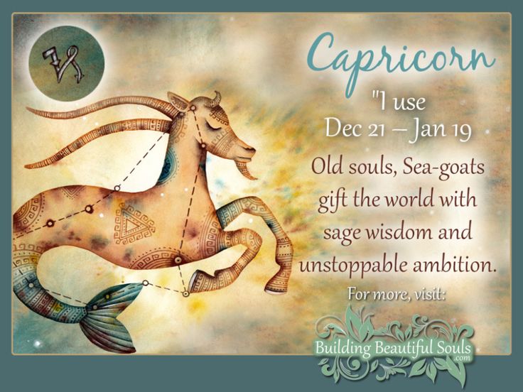 Capricorn Star Sign: Capricorn Sign Traits, Personality ...