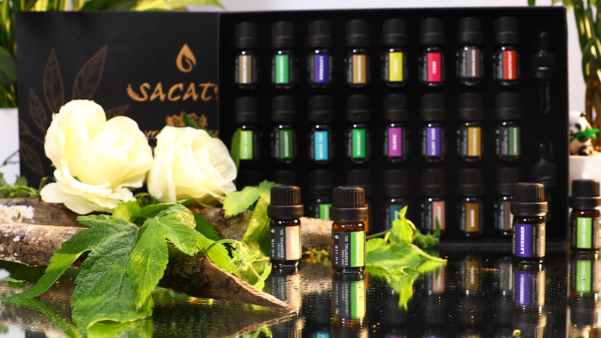 Amazon.com: 24 Bottles Essential Oil Set - Natural Essential Oils ...