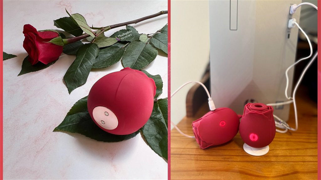 Rose Toy Charger - Upgrade Your Charging Experience with Universal ...