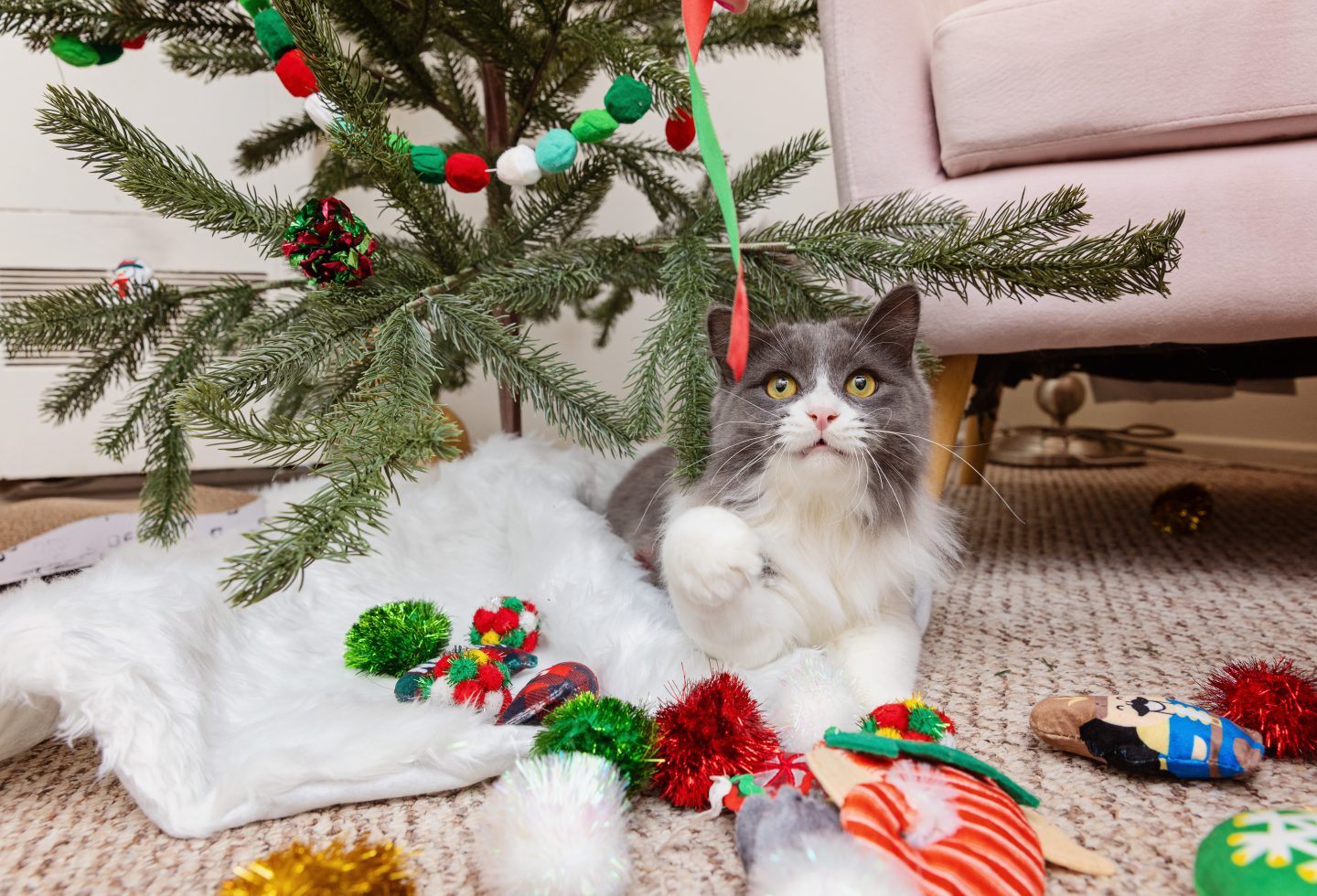 Maurice Tree Holiday LF 794A8834 2 1440x980