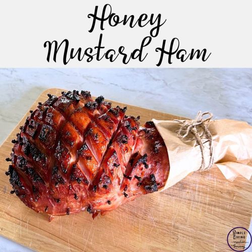 Honey Mustard Ham Sq 500x500
