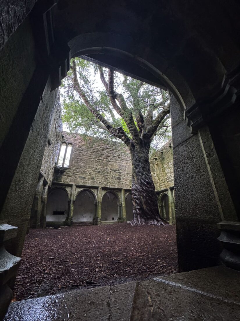 Muckross Ireland 825x1100