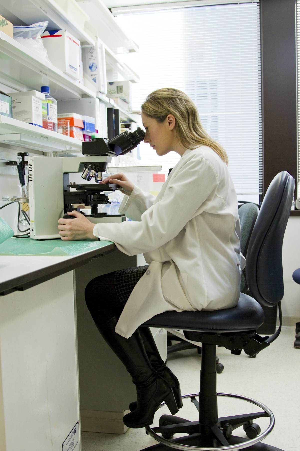 Cancer research in laboratory