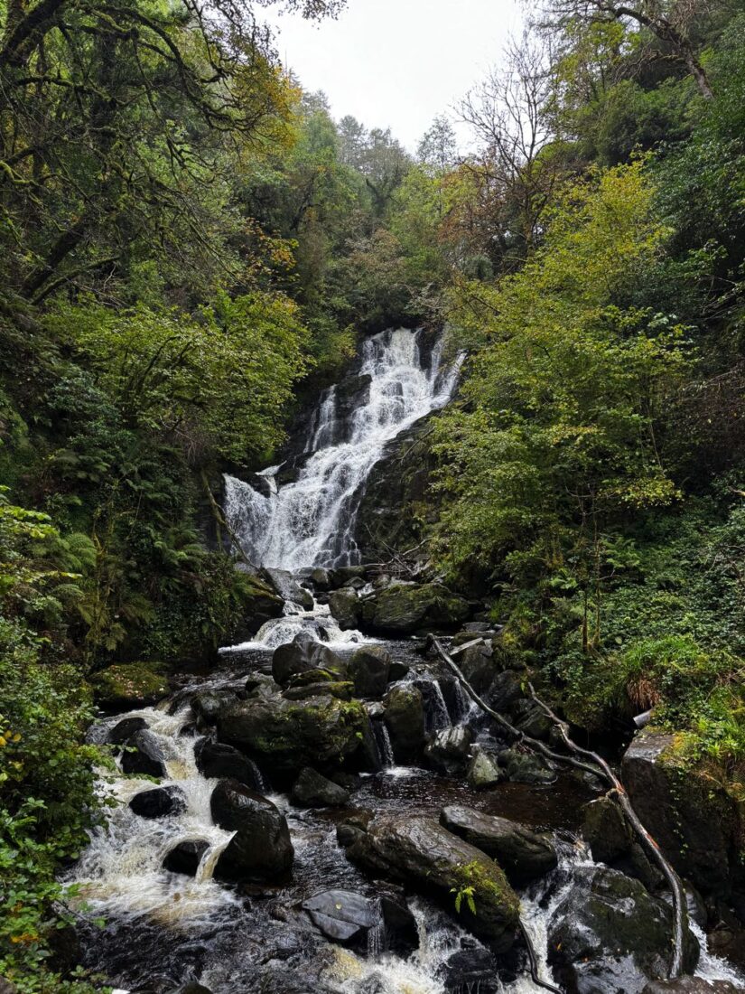 Waterfall Ireland.HEIC 825x1100