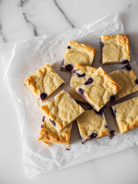 Lemon Blueberry Almond Flour Bars [high-protein + grain-free]